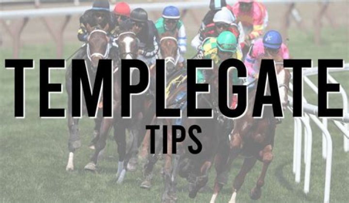 Horse racing tips: Templegate's GIANT 14-1 NAP has warmed up for this big win with a couple of sneaky quiet runs