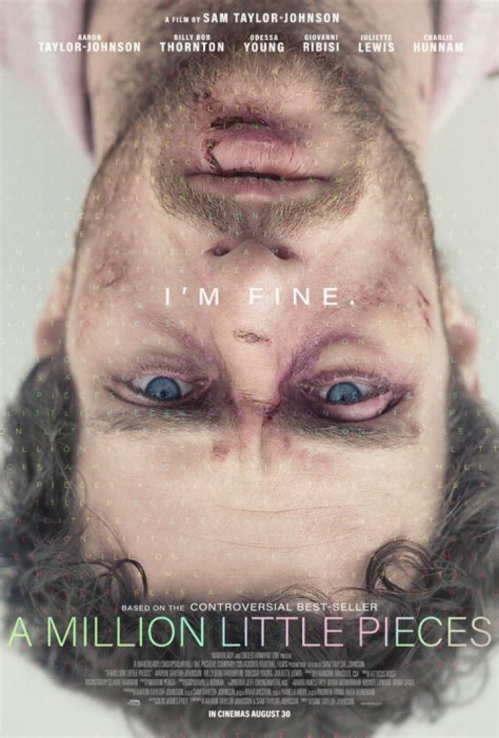 How Accurate Is 'A Million Little Pieces'? The Film's Source Material Is Controversial