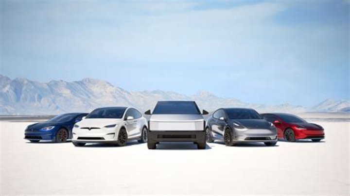 How bling-loving millionaire with fleet of three golden Teslas 'failed to protect UK seaside attraction'