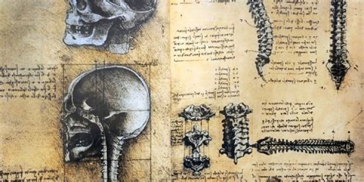 How Leonardo da Vinci Changed Your Life