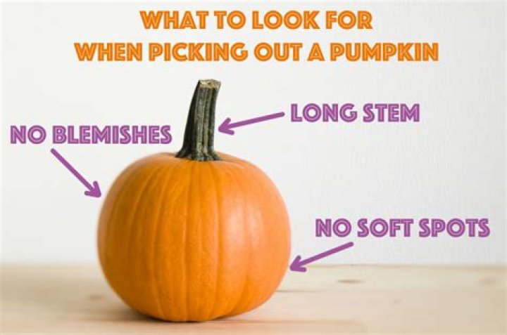 How Long Do Carved Pumpkins Last Before They Rot?