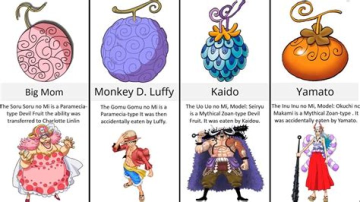 How Many Types of Devil Fruits are there in One Piece?