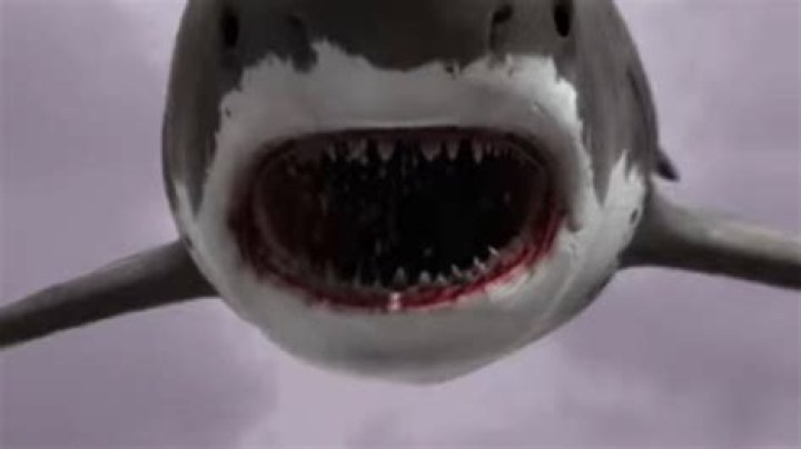 How Nix Director Anthony C. Ferrante Applied Lessons He Learned From Sharknado To His New Movie