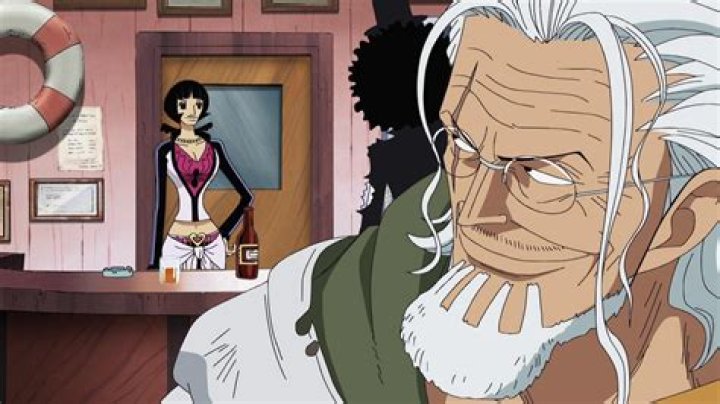 How Old Is Rayleigh In One Piece?