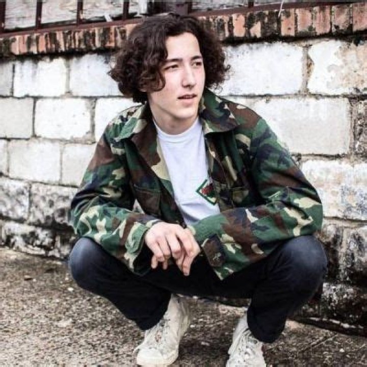 How Rich Is Frankie Jonas? Salary, Net Worth, Career