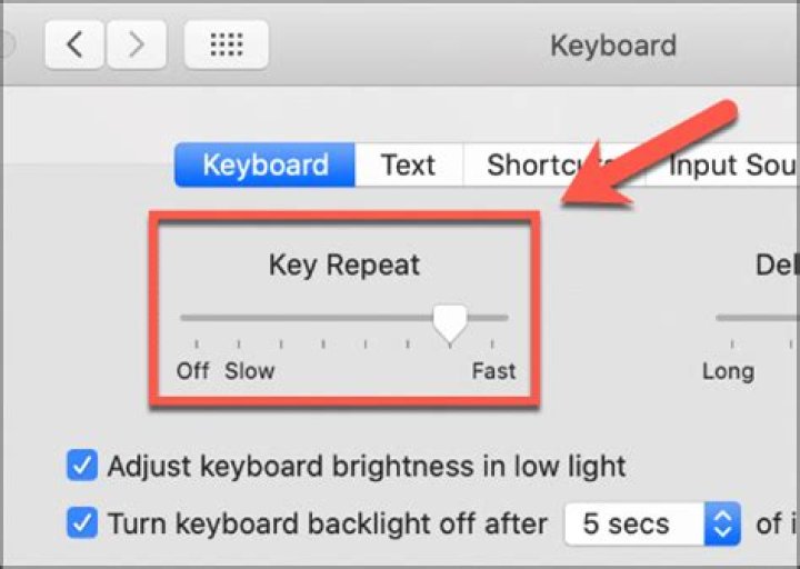 How to Adjust the Speed of Your Mac's Arrow Keys