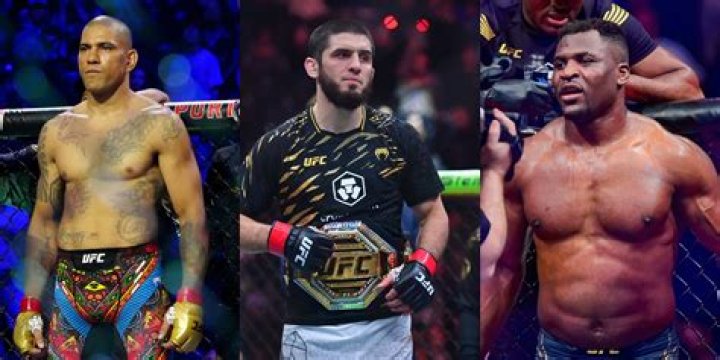 How to become an mma champion