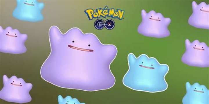 How To Catch Ditto In 