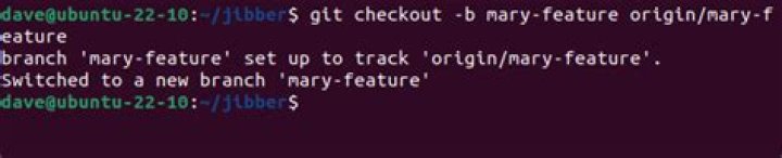 How to Checkout a Remote Git Branch