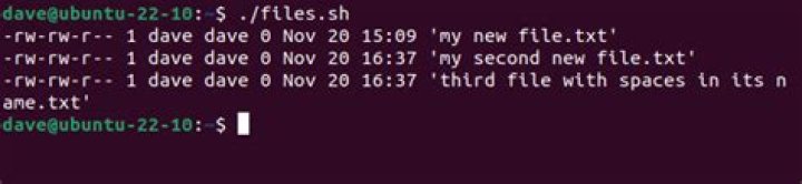 How to Deal With Spaces in Filenames on Linux