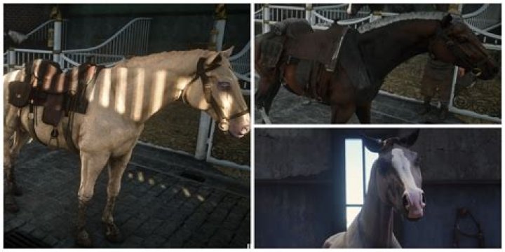 How To Find The Best Horse In The Game