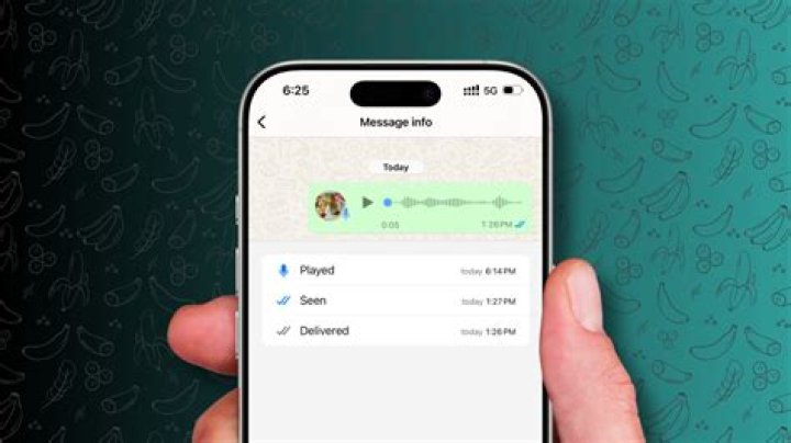 How to format your whatsapp messages