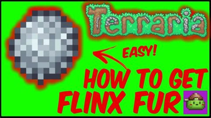How to Get Flinx Fur in Terraria
