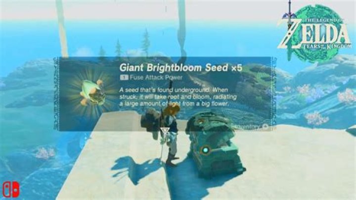 How To Get Giant Brightbloom Seeds in Zelda Tears of the Kingdom