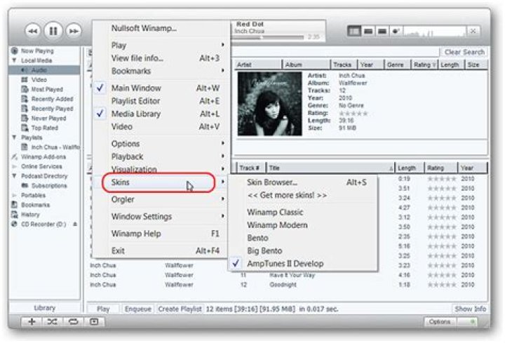 How to make winamp look like itunes