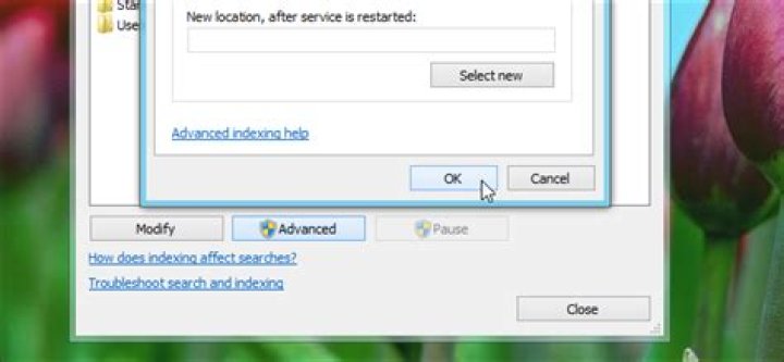 How to make windows 8 index encrypted files