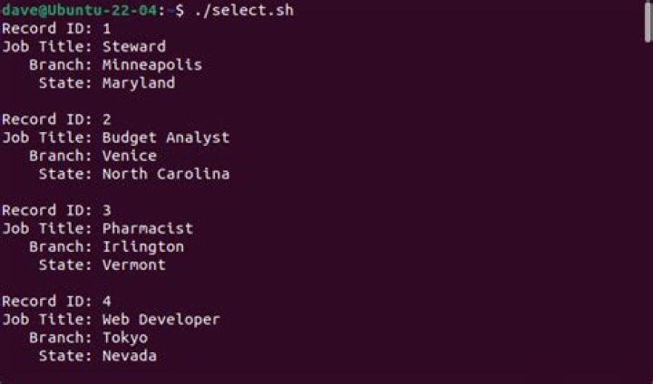 How to Parse CSV Data in Bash
