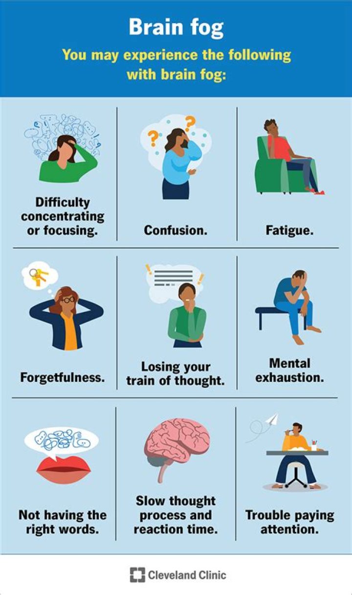 How to prevent diet-induced mental fog