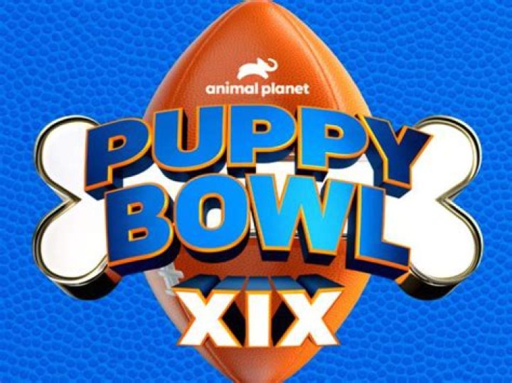 How to stream the 2020 puppy bowl without cable