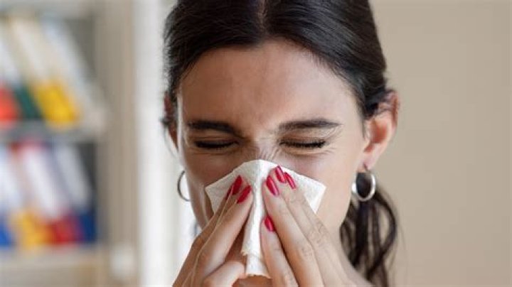 How to tackle a cold in 24 hours - from the best treatments to common myths to avoid