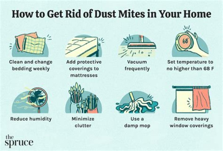 How to Use Baking Soda to Get Rid of Dust Mites