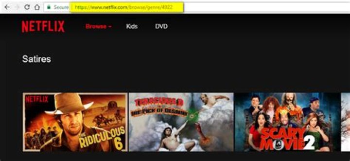 How to use netflix’s secret category codes to satiate any movie craving