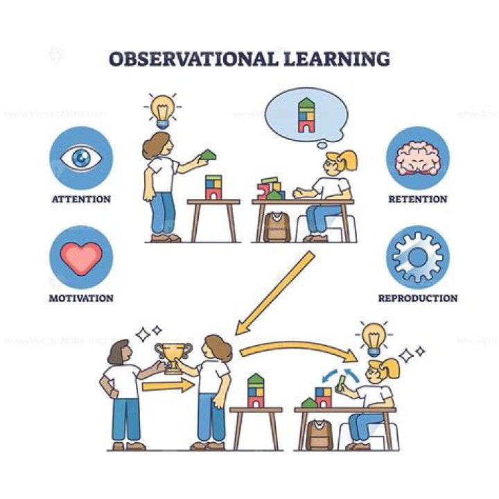 How to use observational learning to learn effectively