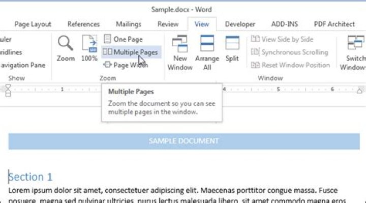 How to view multiple pages at once in word