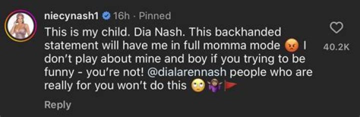 ‘I Don’t Play About Mine’: Niecy Nash Addresses Unknown Man Who Insulted Her Daughter with Backhanded ‘Big Lips’ and ‘Bug Eyes’ Compliment
