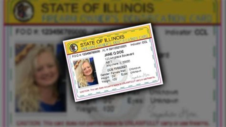 Illinois Supreme Court: Info limited about FOID cards