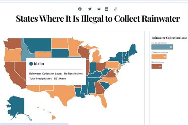 In which states are people allowed to collect rainwater?