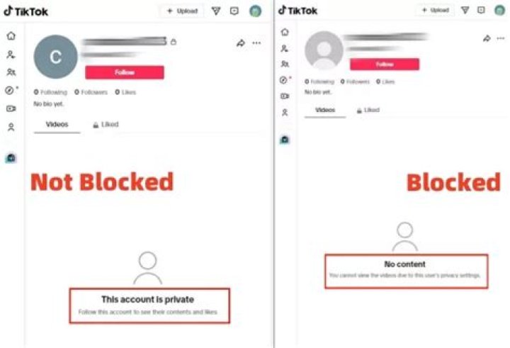 Instagram, Job & TikTok What To Know