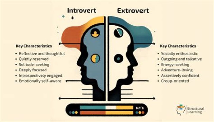 Introvert: Unique characteristics, strengths & social preferences