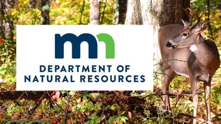 Iowa Department of Natural Resources urges people to call them if they see an injured wildlife animal