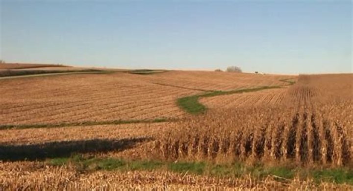 Iowa lost over half a million acres of farmland from 2017 to 2022