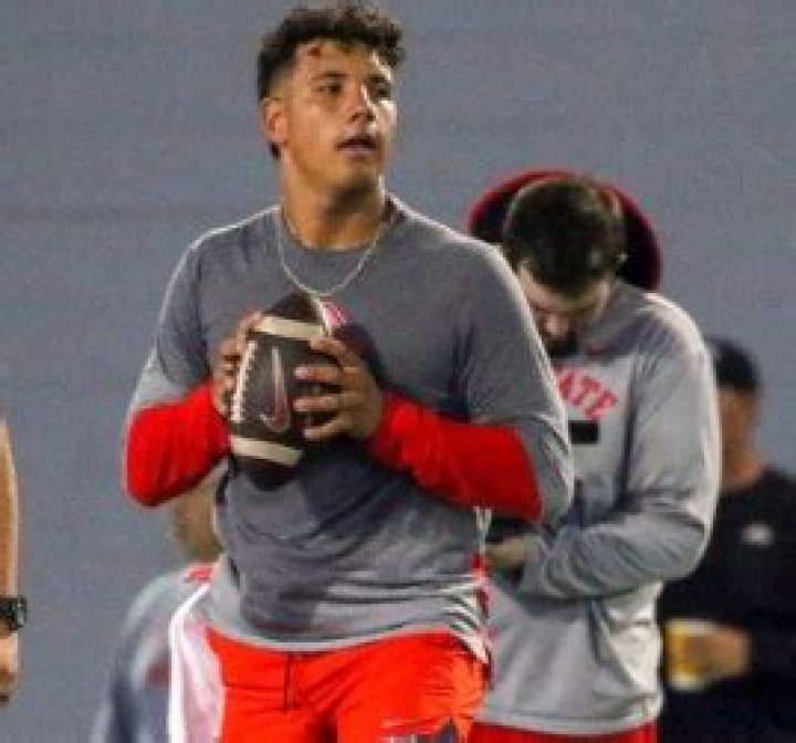 Is Dylan Raiola Dating Now? Georgia Bulldogs QB Relationship, Career And More