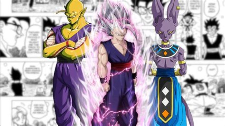 Is It Time for Gohan to Find a New Teacher?
