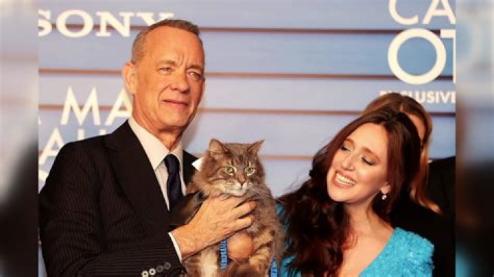Is The Cat In 'Keanu' Real? The Gangster Kitten Steals The Show