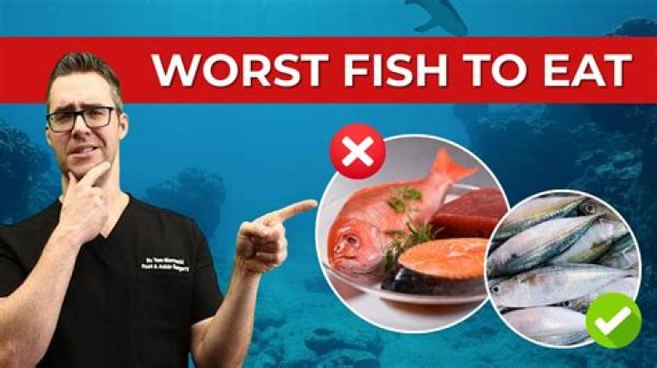 Is turbot a good fish to eat?