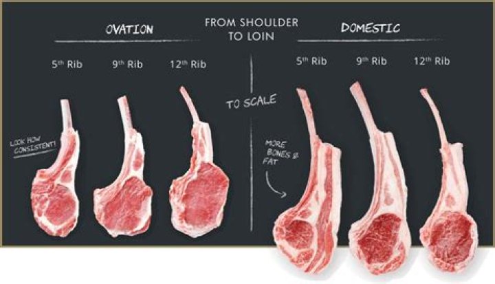 Is venison tenderloin the same as backstrap?