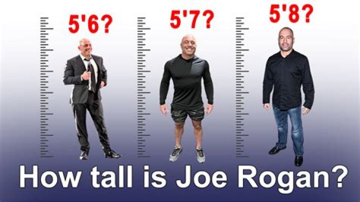 Joe Rogan Height: Everything You Need To Know