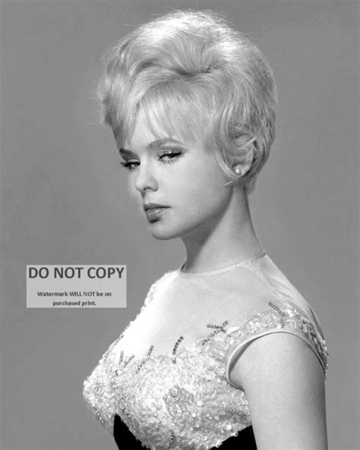 Joey Heatherton Net Worth 2024