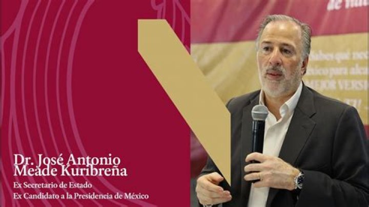 
Jose Antonio Meade Kuribrena
Net Worth

