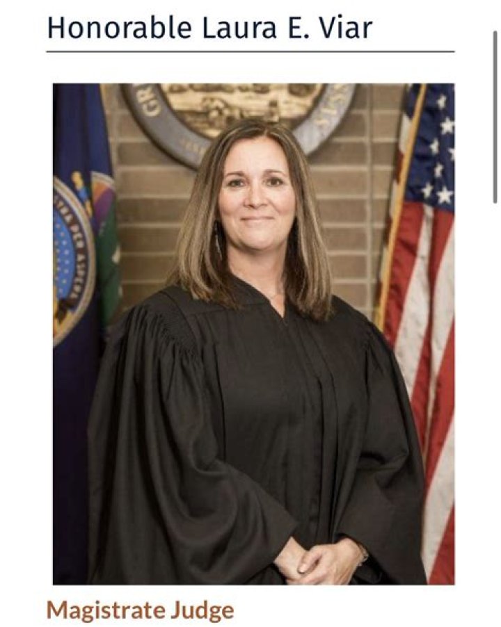 Judge Laura Viar Wikipedia, Political Party