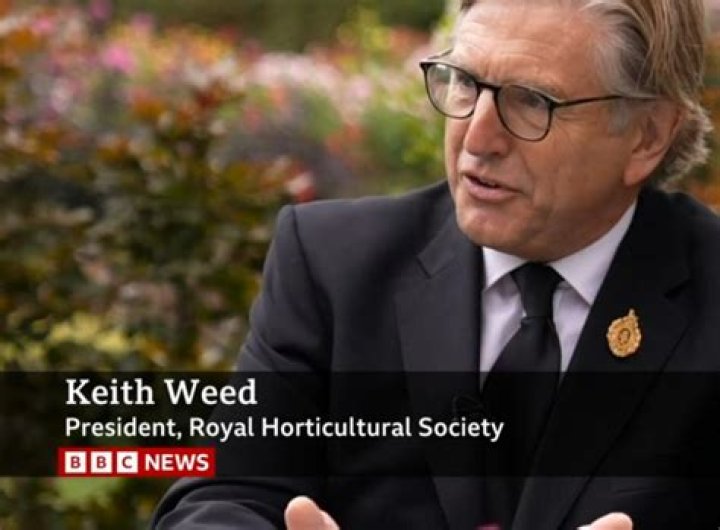 
Keith Weed
Net Worth
