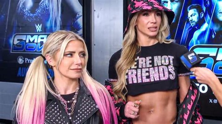 Kelly Kelly vs the Bella Twins