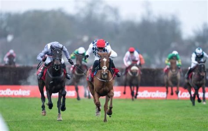 Kempton's King George VI Chase free bets and offers for racing this Boxing Day