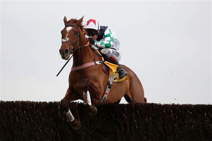 Kerry Lee aiming Top Gamble at the Topham Chase