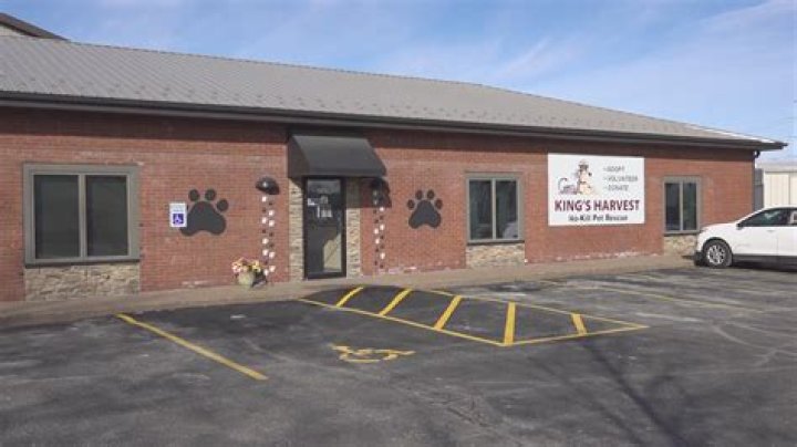 King’s Harvest Pet Rescue to receive 145 pets displaced by Hurricane Ida