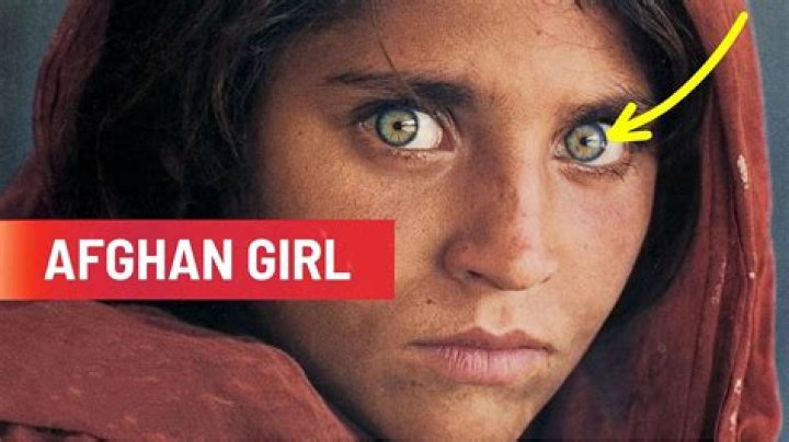 Know Here Everything The Afghan Mystery Girl, Who Became An Overnight Internet Sensation!